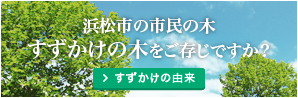 すずかけの木をご存じですか？